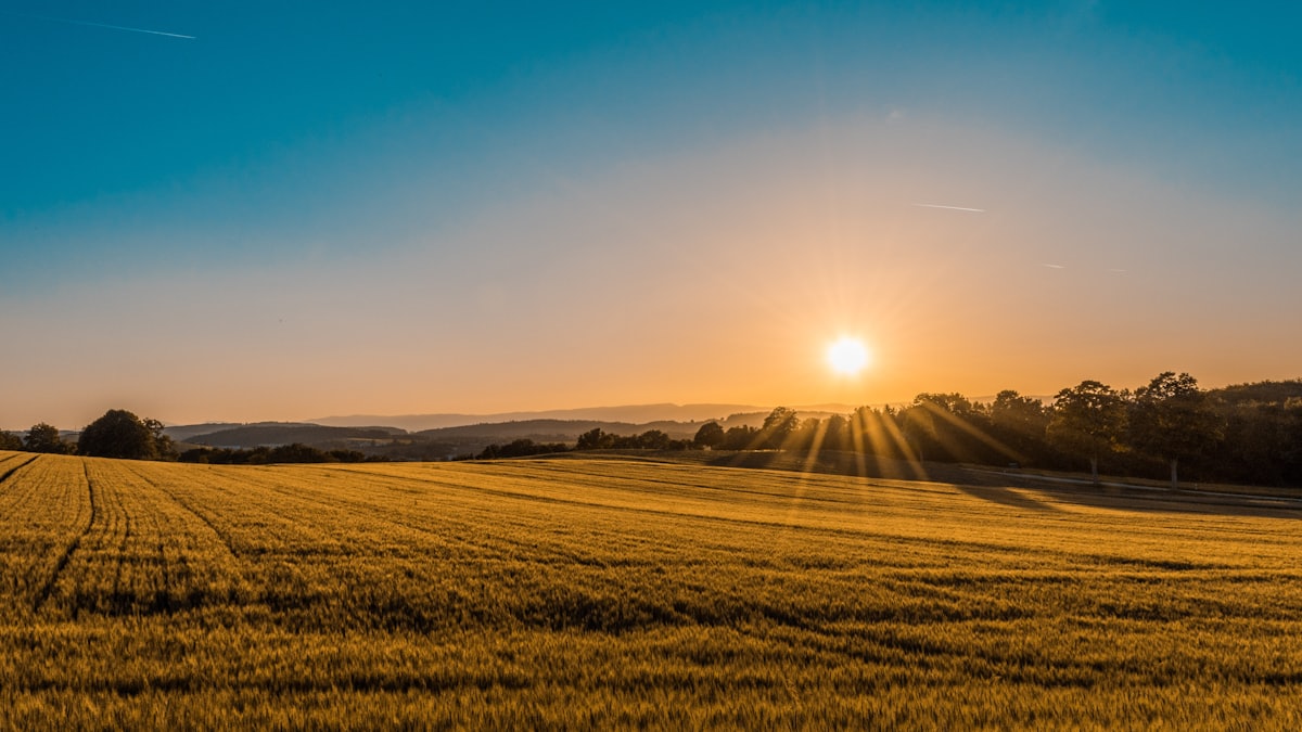 Exploitation agricole